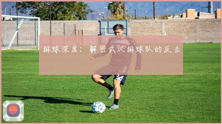 排球深度：解密武汉排球队的反击