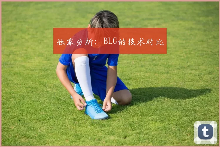 独家分析：BLG的技术对比