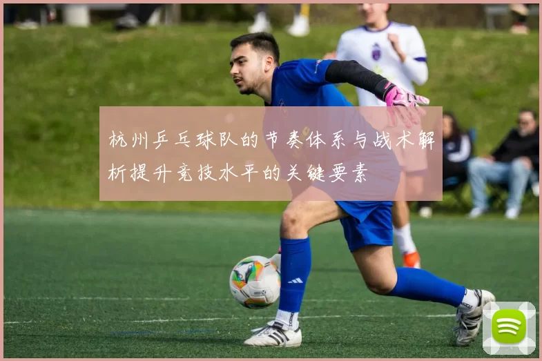 杭州乒乓球队的节奏体系与战术解析提升竞技水平的关键要素