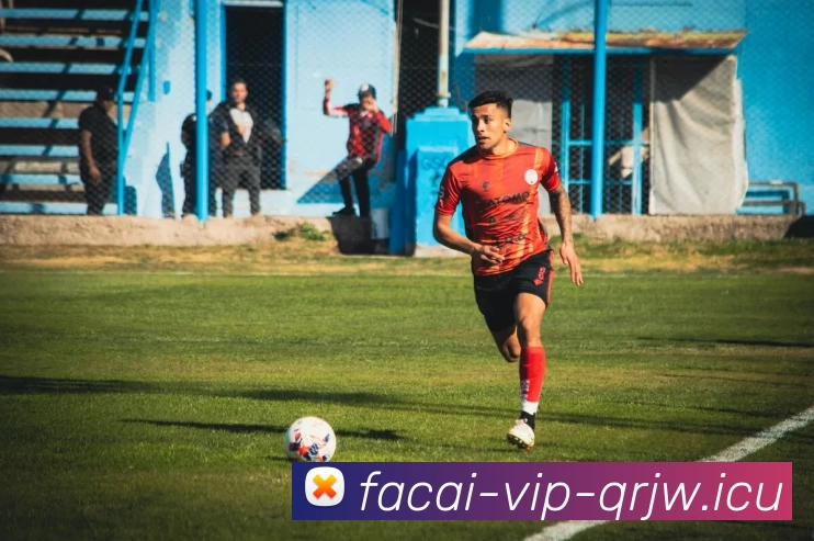 数据防护可视化